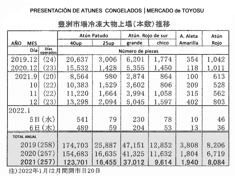 2022010708esp-Mercado de Toyosu presentacion de atunes congelados FIS seafood_media.jpg